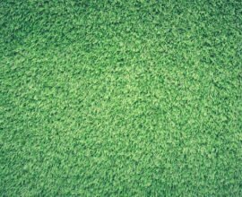 how to get rid of clover grass on lawn