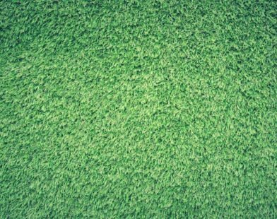 how to get rid of clover grass on lawn