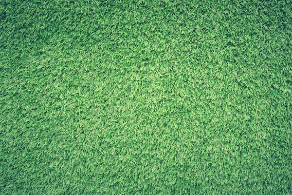 how to get rid of clover grass on lawn