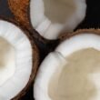 can you eat coconut on carnivore diet