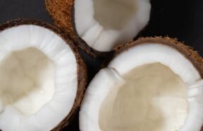 can you eat coconut on carnivore diet
