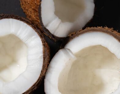 can you eat coconut on carnivore diet