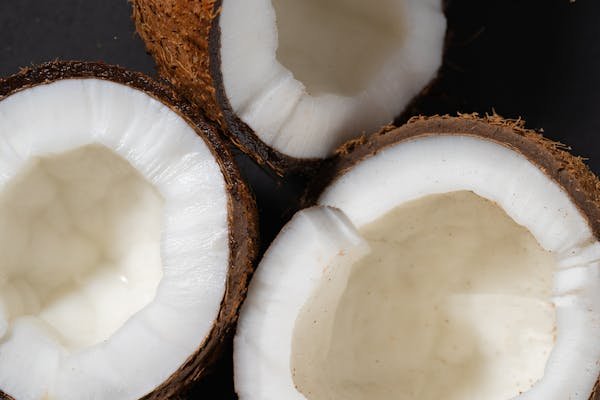 can you eat coconut on carnivore diet