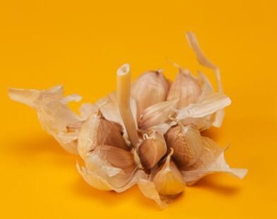 can you plant garlic in the spring