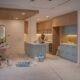 paint or spray cabinets
