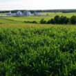 environmental benefits of natural gas